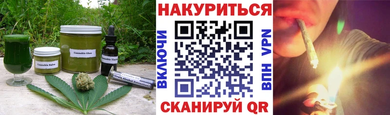 как найти закладки  Каменногорск  Cannafood конопля 
