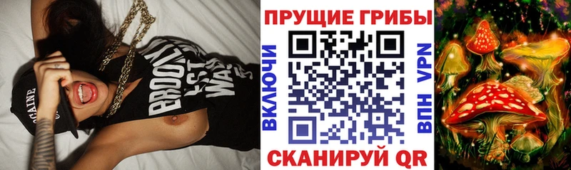 Псилоцибиновые грибы мицелий  blacksprut онион  Каменногорск 